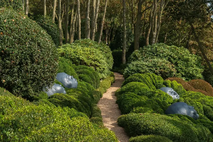 plantes vertes sur un chemin de briques brunes